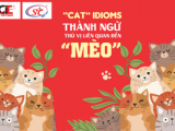 "CAT" IDIOMS - THÀNH NGỮ LIÊN QUAN ĐẾN "MÈO"... MEOW...MEOW!